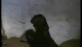 Limpando o pornô caseiro só as novinhas pau dele